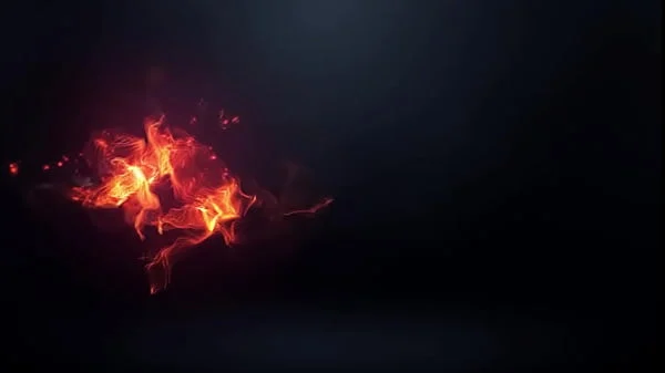 Bucetas ensopadas de tesão após levar rola bem gostosa